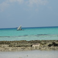 DSC01454